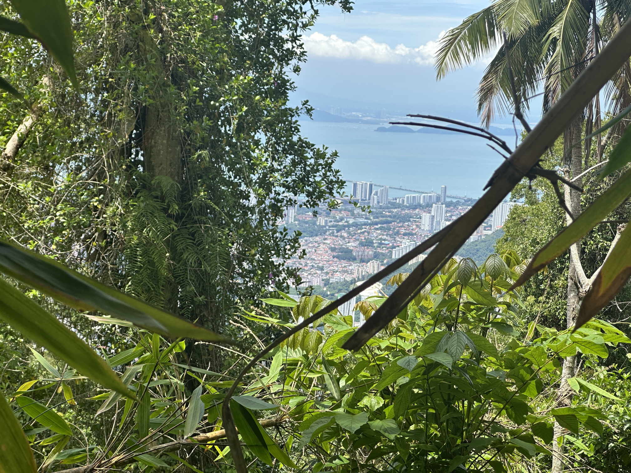 The Fool On Penang Hill