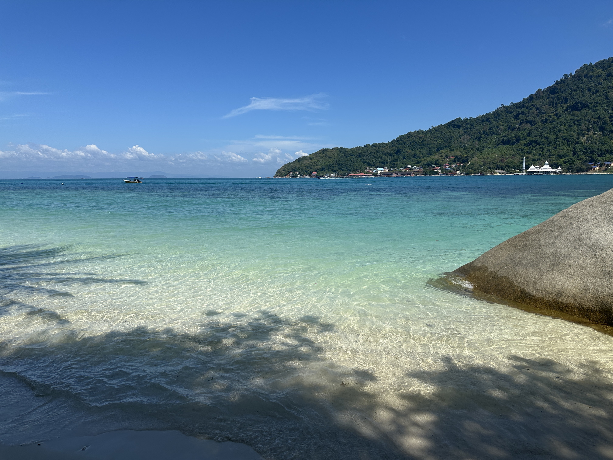 Swimming The South China Sea
